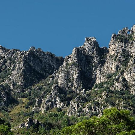 فيلا Casa Cresolera Villalonga المظهر الخارجي الصورة